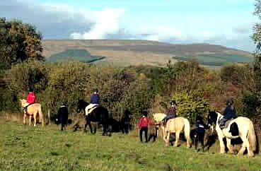 Horse Riding near Kilronan Castle